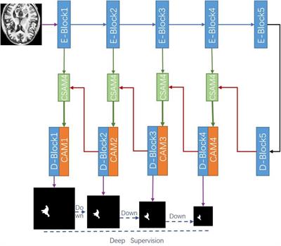 Cross-Attention and Deep Supervision UNet for Lesion Segmentation of Chronic Stroke